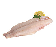 Jumbo Scottish Haddock Fillets